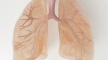 AQI