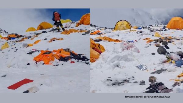 Sharing the video, IFS Parveen Kaswan questioned the impact of human presence on fragile ecosystems