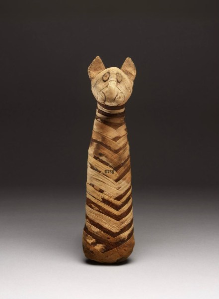 Wrapped in elaborate bandages, this is the body of a mummified cat. (Courtesy: Special Arrangement/CSMVS)