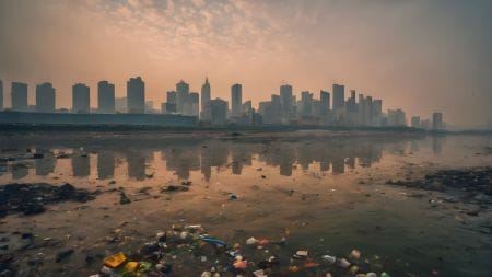 National Pollution Control Day 2025