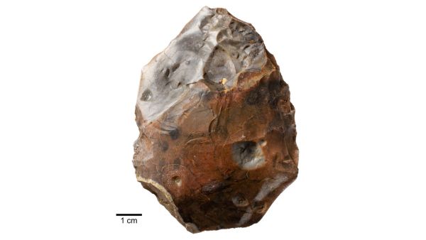 Scientists perceive the mastery of fire as a sign that our species have evolved. From cooking food to keeping humans warm at night, fires' advance has certainly benefitted humans. (Express Photo) 