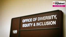 DEI, white men