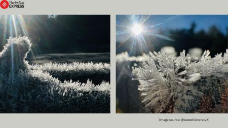 Ooty frost