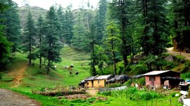 musoorie