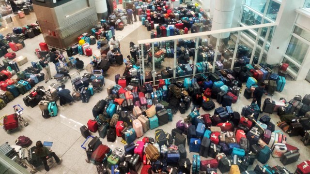 Question mark over role of IndiGo high-profile board, its risk committee in run-up to crisis