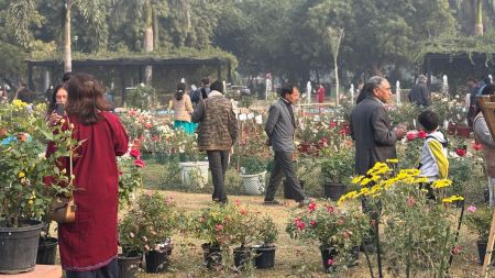 Each rose bed had a steel plate on which a unique name was engraved.