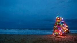 Most restaurateurs also flagged the long-standing issue of expensive local transport.