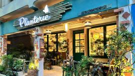 Planterie, cafe, South Delhi, indoor plants, greenery, air quality,