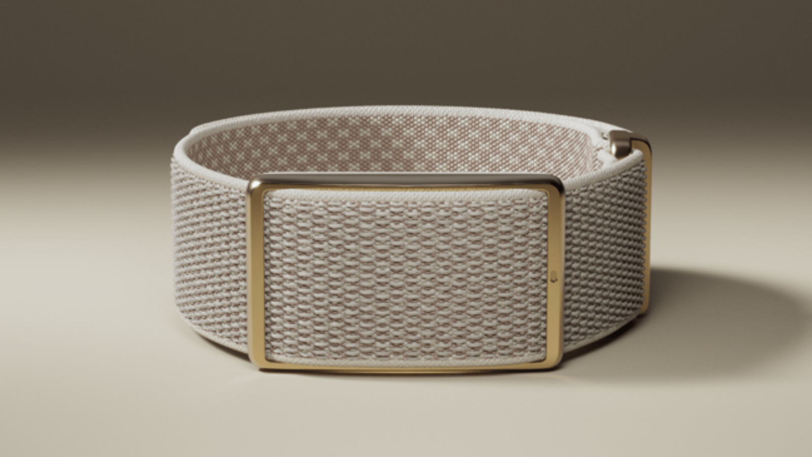 Polar Loop weighs just 29 grams.