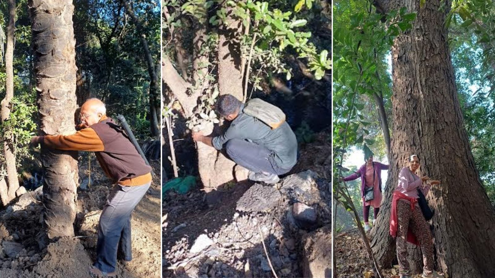 How a heritage tree-mapping event at Ganeshkhind Garden highlights rising interest in conserving Pune’s green legacy