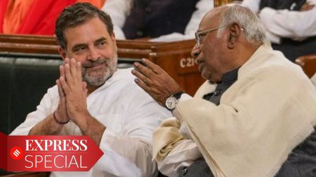 Congress President Mallikarjun Kharge with LoP in the Lok Sabha and party leader Rahul Gandhi. (PTI Photo)