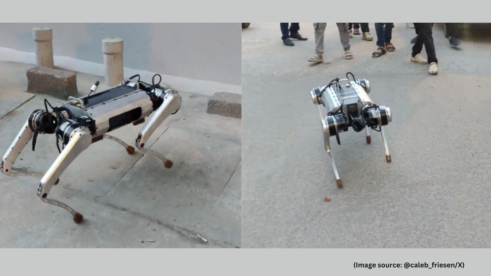 indianexpress.com - 'India is waking up to its potential': Robot dog walks down Bengaluru street, stuns locals; watch video