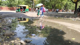 High BOD and COD levels indicate untreated sewage continues to flow into the Yamuna, worsening river pollution.