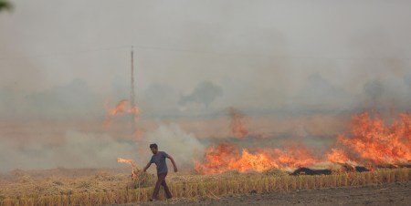 stubble burning, delhi stubble burning, Punjab stubble burning, Haryana stubble burning, Farm fires, delhi Farm fires, Indian express news, current affairs