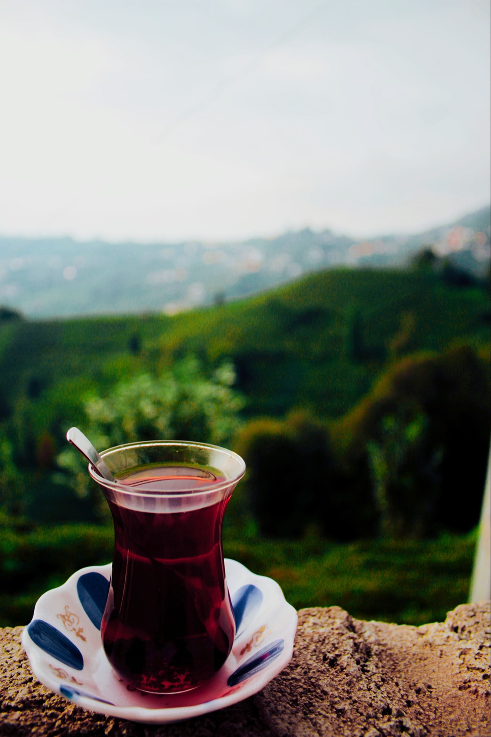 Suvir Saran details his South India travels