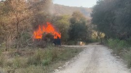 The bus that caught fire during a lion safari at Nahargarh Biological Park. Express Narrow escape for tourists as bus catches fire during safari in Nahargarh