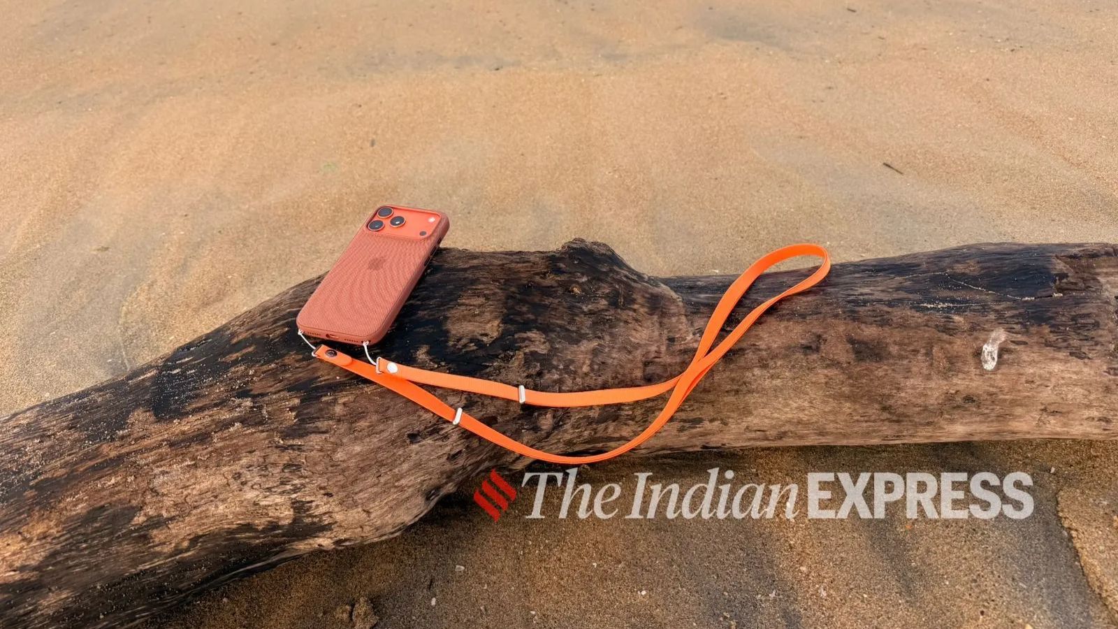 indianexpress.com - Apple will earn more selling iPhone cover than airlines transporting passenger: IATA chief