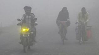 Scientists said that in some areas, especially the Western and Central parts of the state, the temperature is likely to fall below 8-10°C — with fog expected, especially in the morning hours.