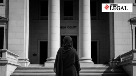 Woman in 70s grandmother-in-law death Jammu and Kashmir and Ladakh High Court