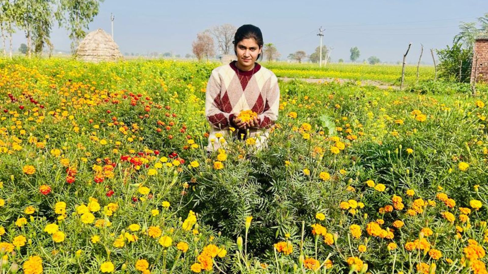 Punjab Woman Turns Small Land into Flower Farm