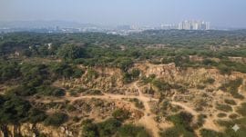 SC stays 100-metre Aravalli definition