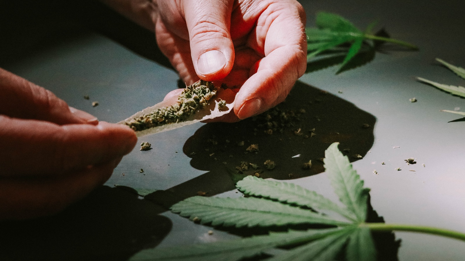 Trump expected to sign executive order to reclassify cannabis for potential medical purpose | World News Trump expected to sign executive order to reclassify cannabis for potential medical purpose | World News
