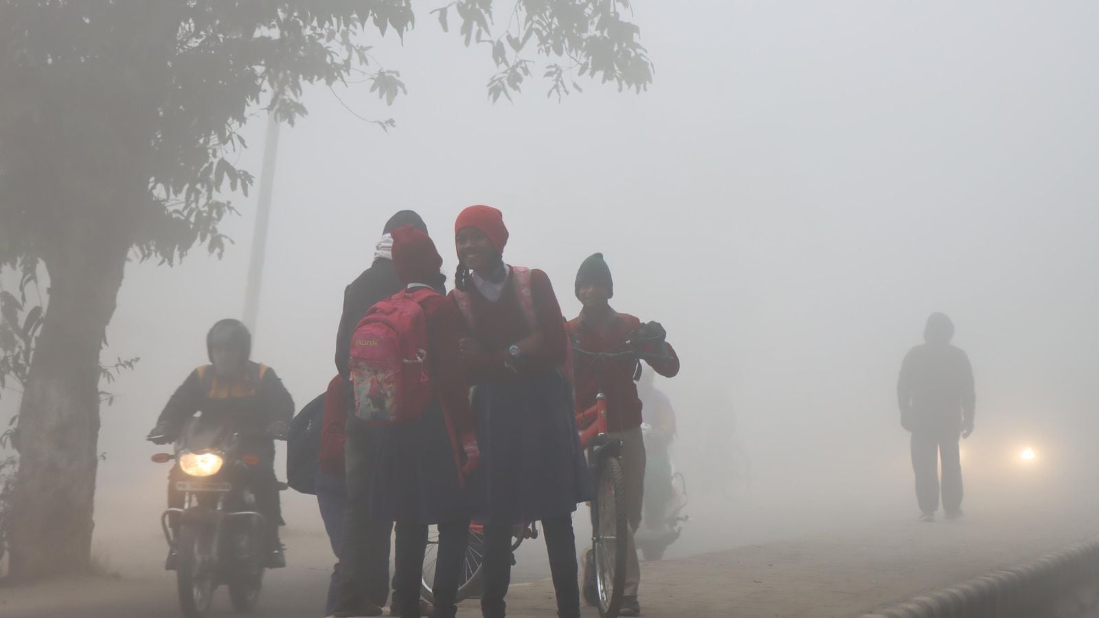 Cold wave grips central, eastern India; dense fog likely to persist in north till Dec 16