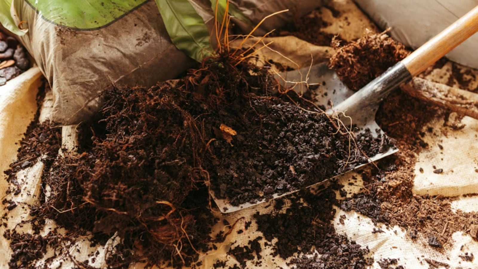 Easy ways to start composting at home