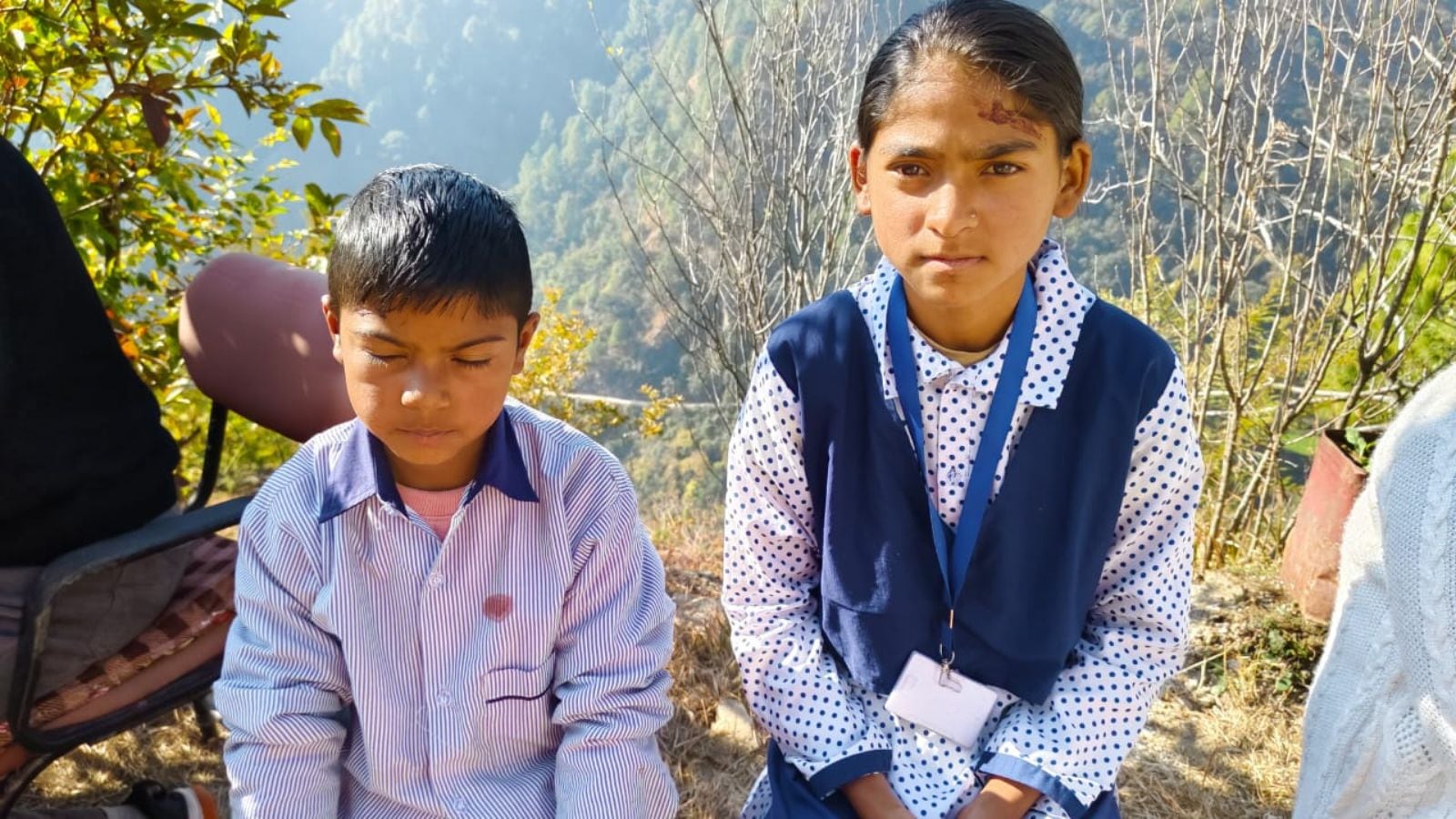 In Uttarakhand school, bear cub drags boy into jungle, 12-year-old classmate comes to his rescue