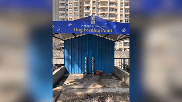 Dog feeding point at Megapolis Sangria Society. (Express Photo)