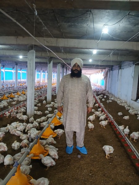 satnam's poultry farm