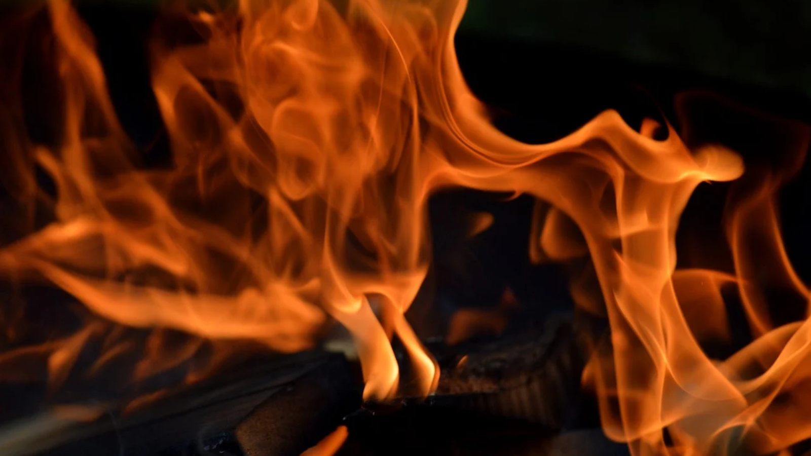 Bus catches fire in Delhi