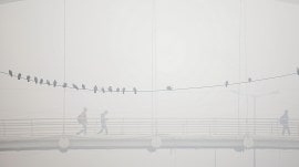 Severe cold grips Punjab, Severe cold grips Haryana, India Meteorological Department, dense fog, Indian express news, current affairs