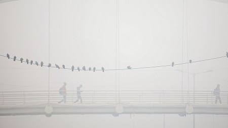 Severe cold grips Punjab, Severe cold grips Haryana, India Meteorological Department, dense fog, Indian express news, current affairs