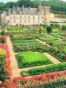 8 most beautiful gardens around the world