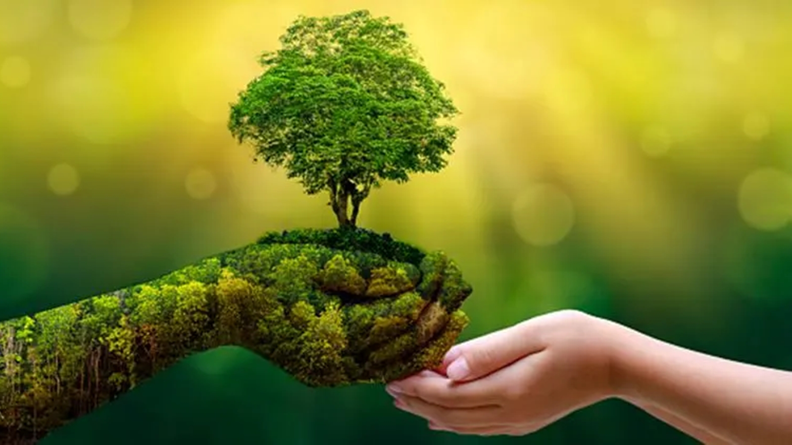 India's Green Transition Amid Global Challenges