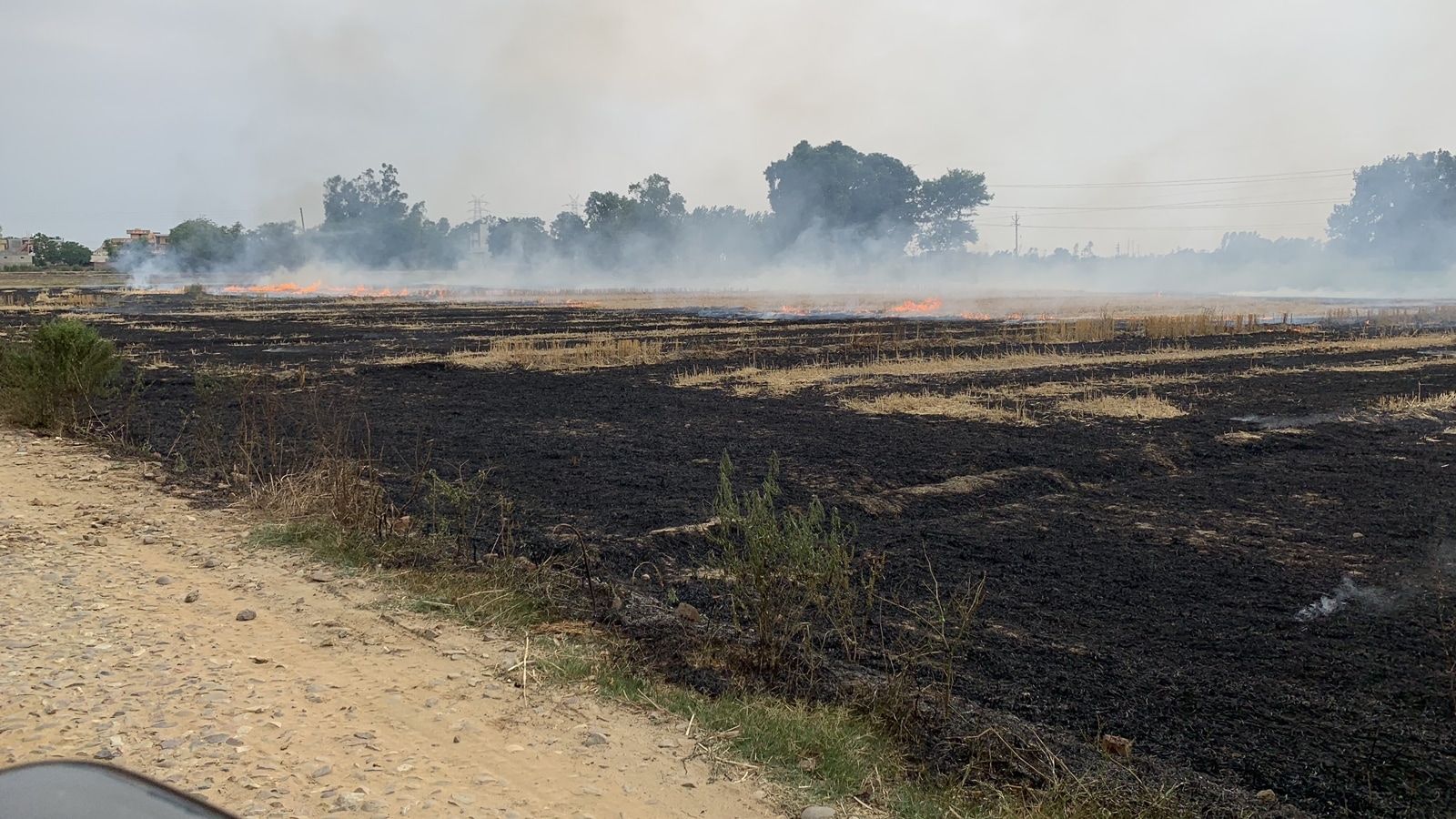  For the first time, CAQM wants Punjab and Haryana to monitor summer stubble-burning as well