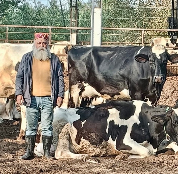 霍希亞爾普爾基桑