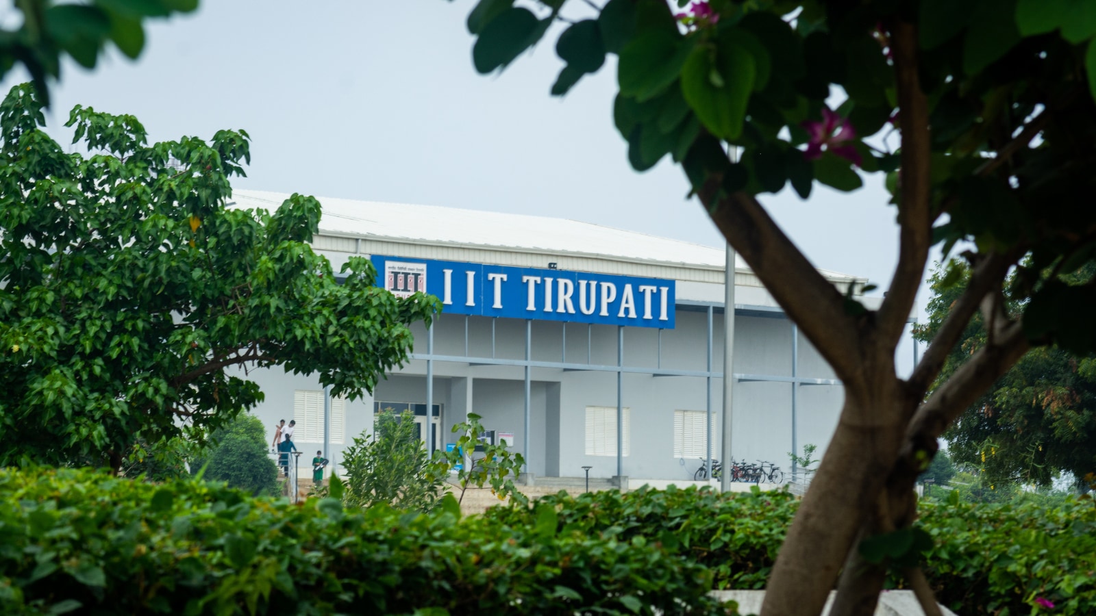 IIT-Tirupati placements 2023 vs 2024: Salary package, sectors, top branch
