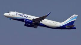 indigo
