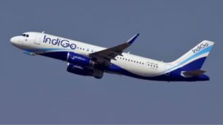 indigo