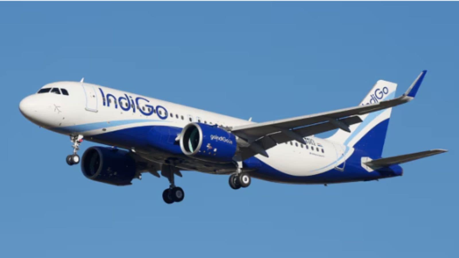 As Indigo officials come under scrutiny its shares fall 7 5% today
