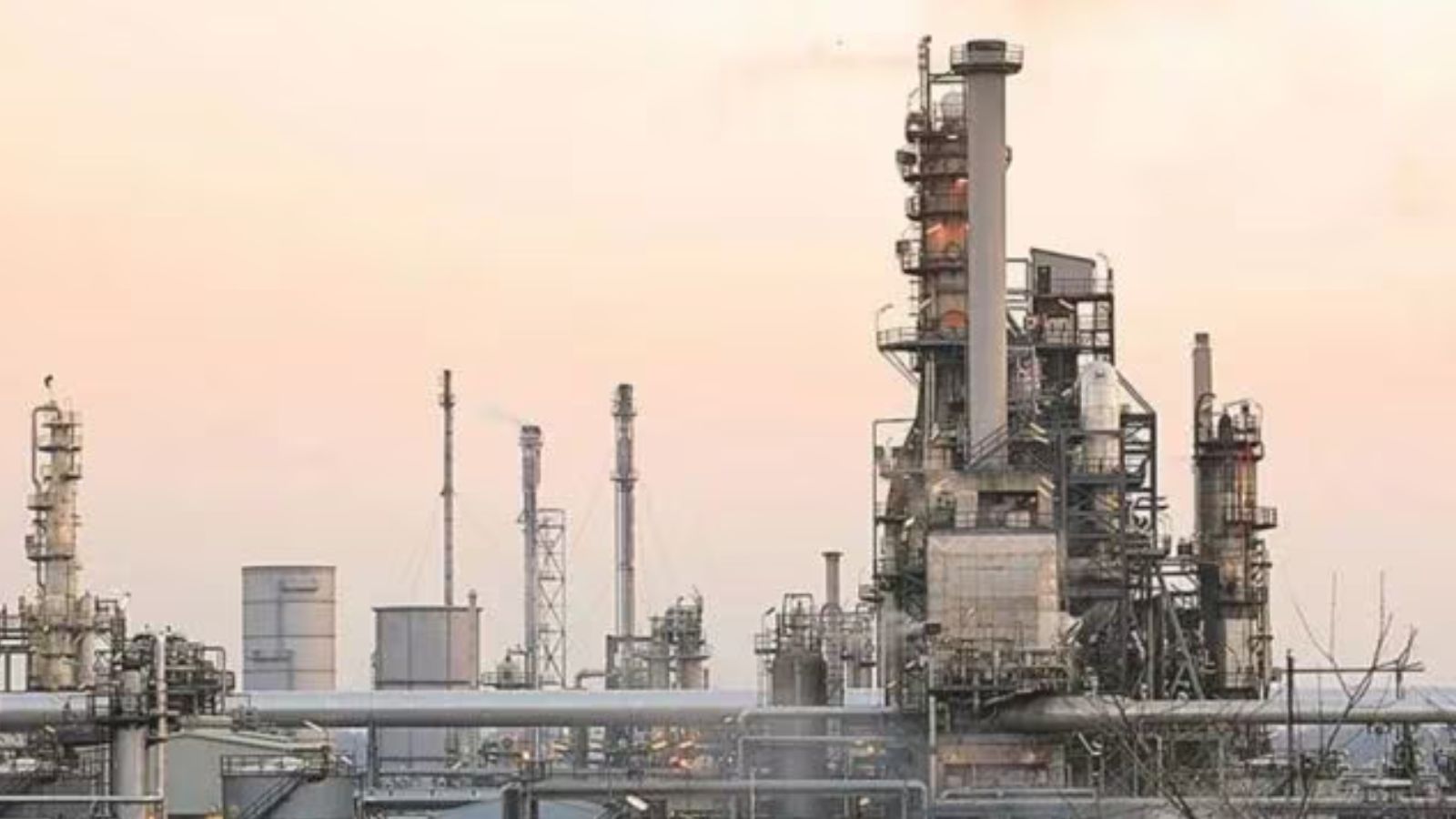 Mohali Sectors 87, 101, 103 for Development