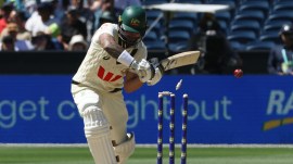 Greg Blewett, the former Test opener, sympathised with Di Venuto. (AP Photo)