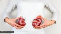 kidney health