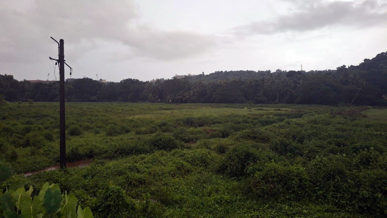 Revenue dept grants legal validity to digital land records | Mumbai News Revenue dept grants legal validity to digital land records | Mumbai News