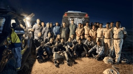 The animal was tranquillised inside an underground tunnel and is now under veterinary observation.