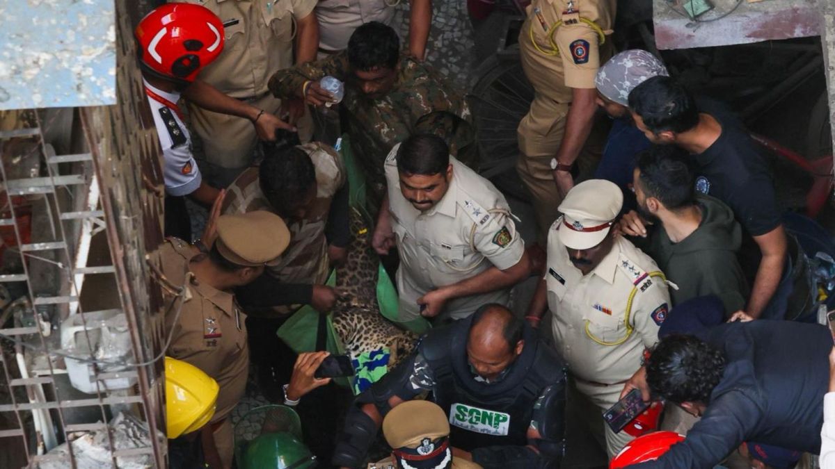 The leopard’s presence in the densely populated locality triggered panic, with residents rushing indoors as police, fire brigade personnel and forest officials rushed to the spot. (Express Photo/Akash Patil)