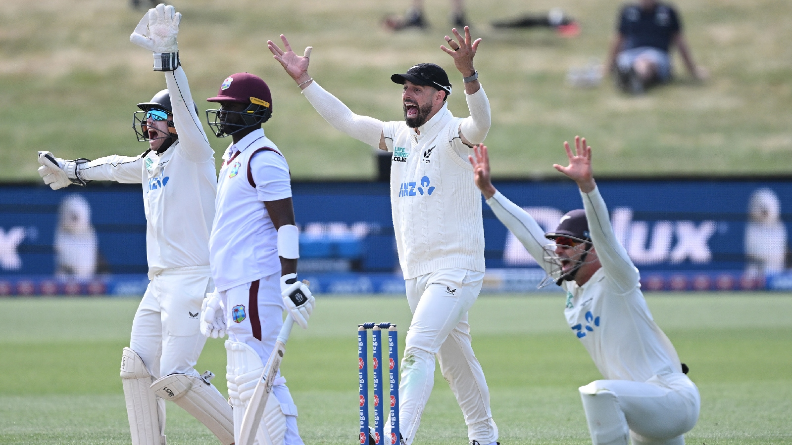 NZ vs WI: Justin Greaves' unbeaten double hundred helped West Indies draw the Christchurch Test. (AP)