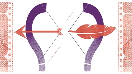 What lies behind the controversy around films like Dhurandhar, The Kashmir Files, The Kerala Story?